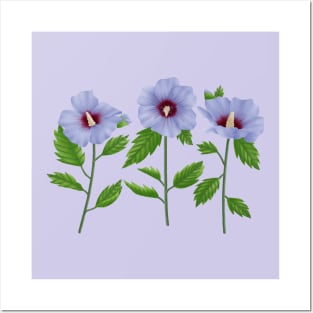 Rose of sharon Posters and Art